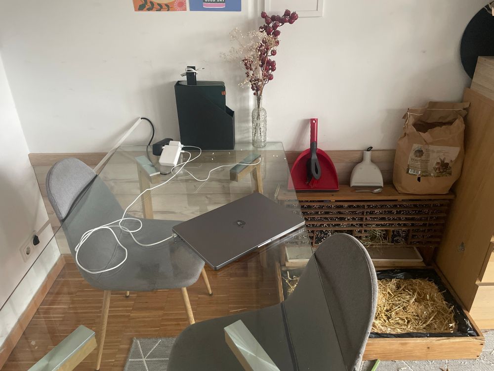 another corner of the bunny room. The cables are protected again and the walls covered with sintetic thin flooring planks to avoid the buns ripping off the wallpaper