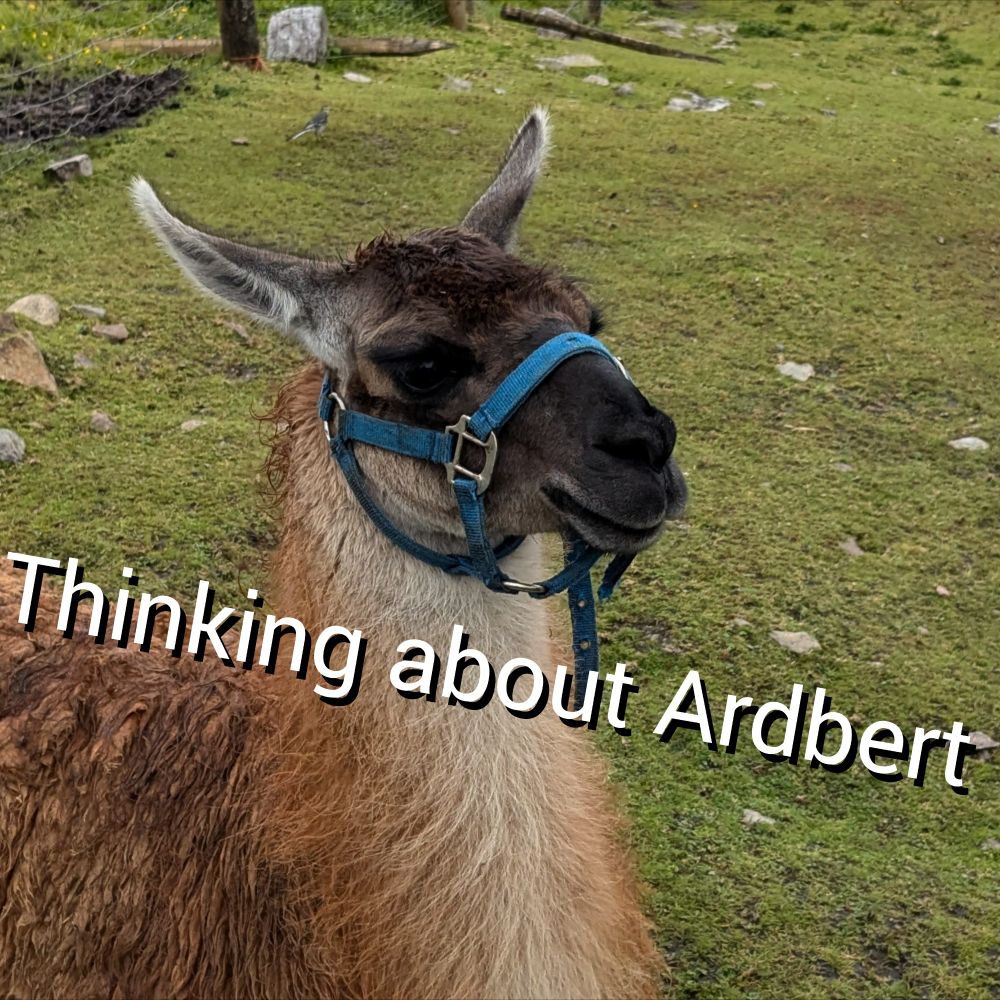 It's a camel bird. 
Img txt: thinking about Ardbert

Traveling: I found this in the archives 😅