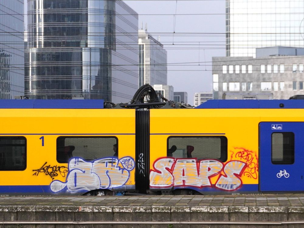 Graffiti art on the side of a NS train in Belgium