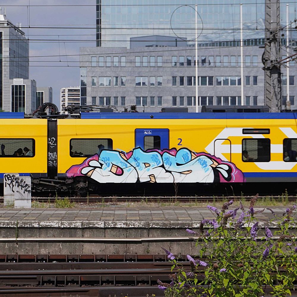 Graffiti on the side of a NS train in Belgium #NS #NSTrain #brussels #drs #drscrew