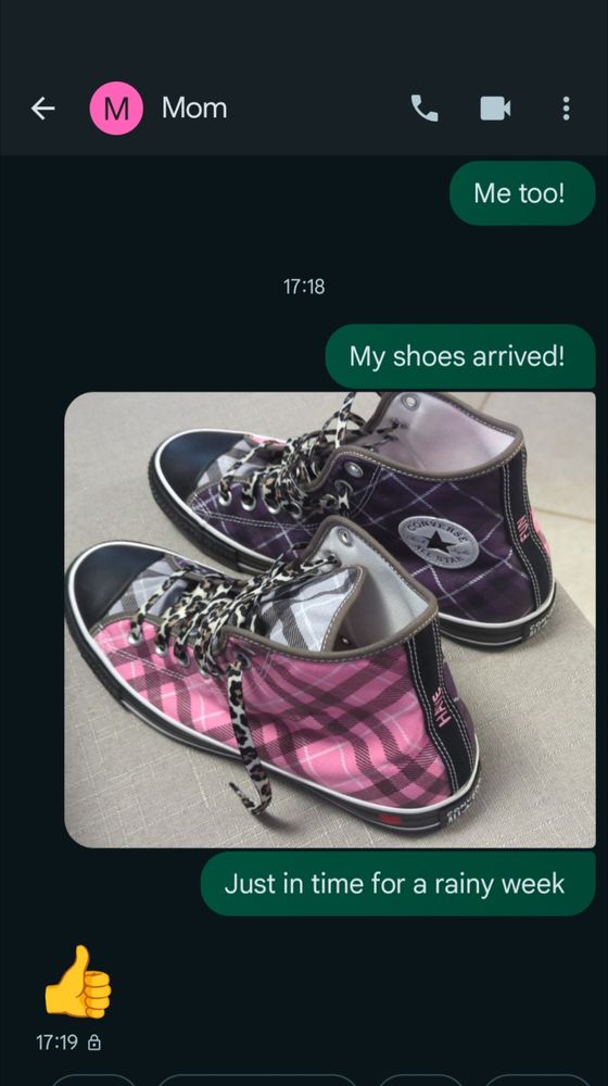 Screenshot of my text conversation window with mother. 

Trailing old conversation
D: Me too!

17:18 D: My shoes arrived!

CONVERSE SHOE PICTURE

Just in time for a rainy week

17:19 Mom: 👍

--

So much I can't say anything nice in that emoji you could heat a town for a decade. 