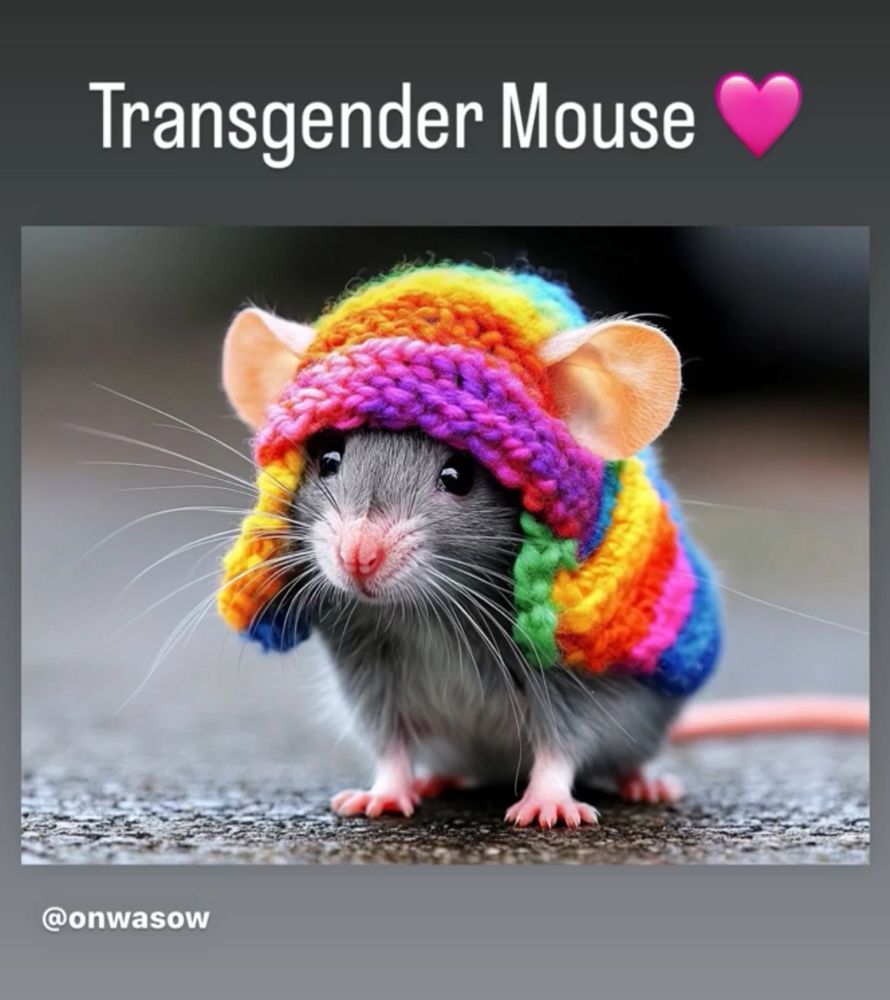 Comment image