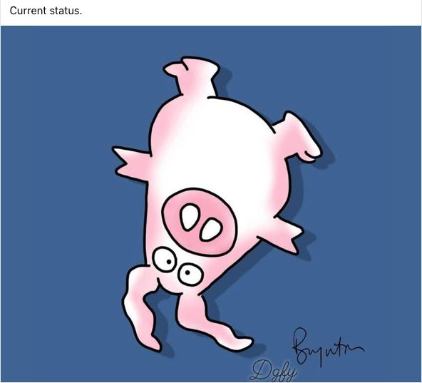 A pink pig floating upside down on a blue background. The text reads: current status. 