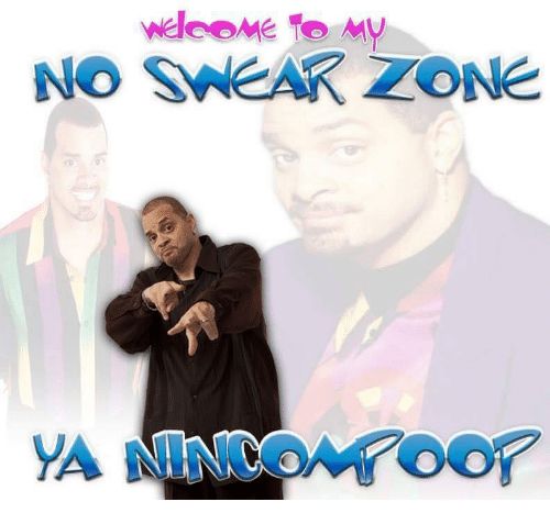 sinbad. "Welcome to my no swear zone ya nincompoop"