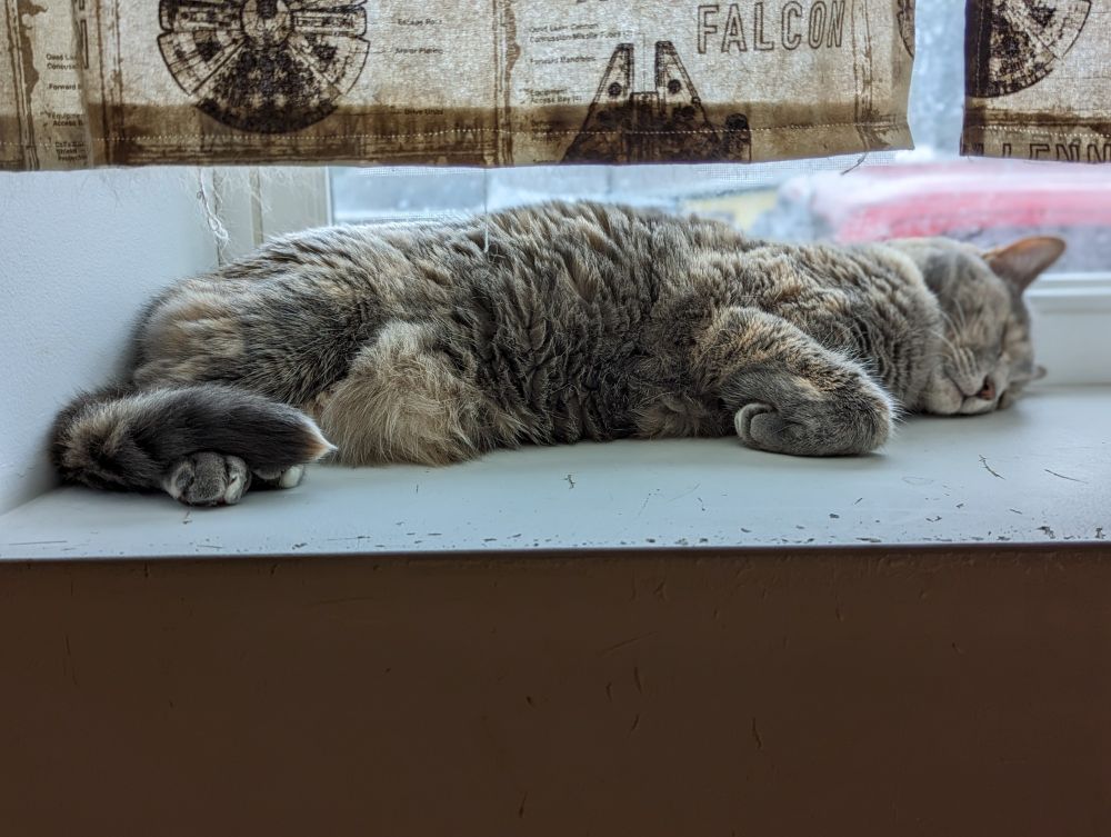 a diluted torti cat laying in a window, sleeping. she's on her side, front paw curled lazily, tail tip draped over her back paws. above her are star wars themed curtains, and she sleeps with a contented expression on her face