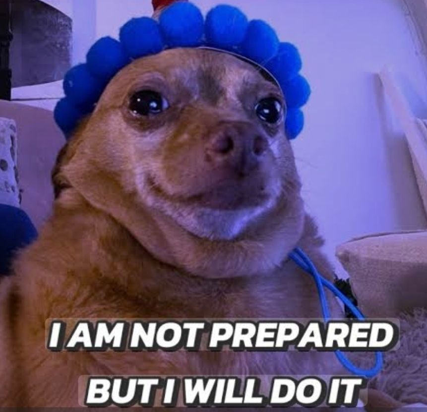Meme: a deeply upset looking sandy-coloured chihuahua with a blue headband on gazes teary-eyed into the camera with the caption "I AM NOT PREPARED BUT I WILL DO IT"