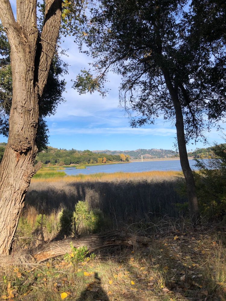 A view of a reservoir and rolling hills 
