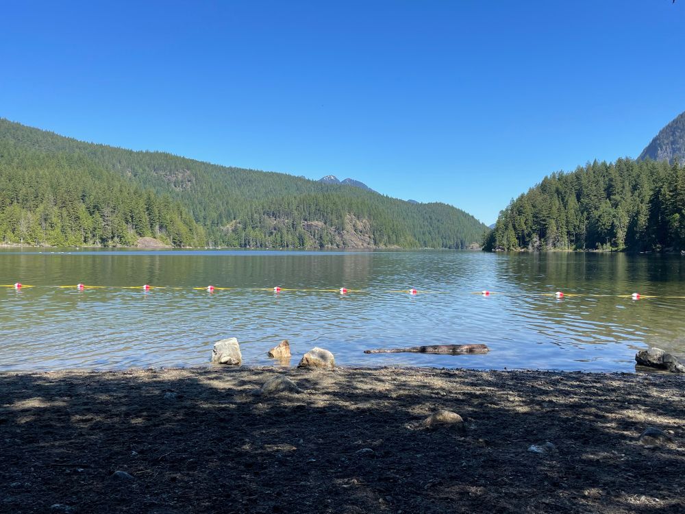 A lake surrounded by mountains with evergreen trees.