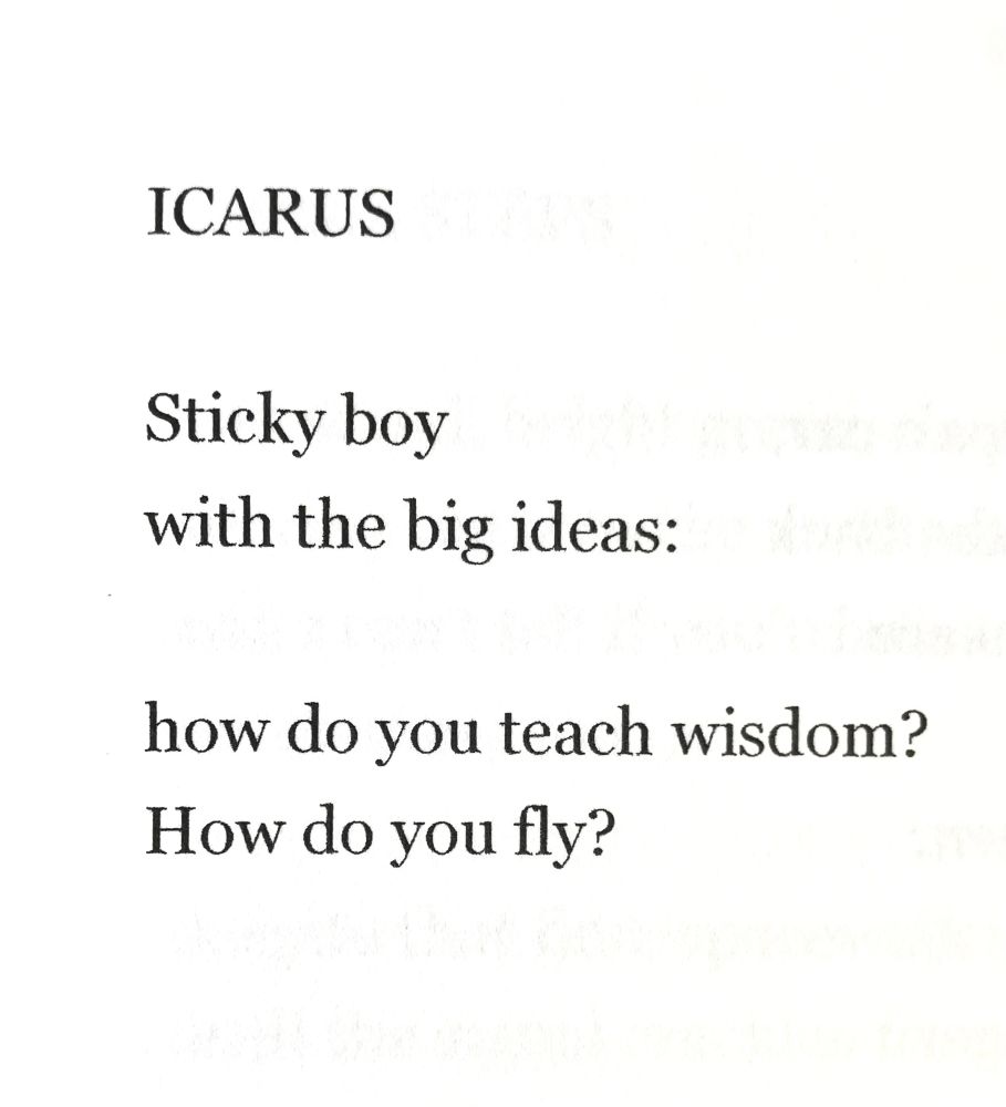 Poem:

Icarus

Sticky boy
with the big ideas:

how do you teach wisdom?
How do you fly?