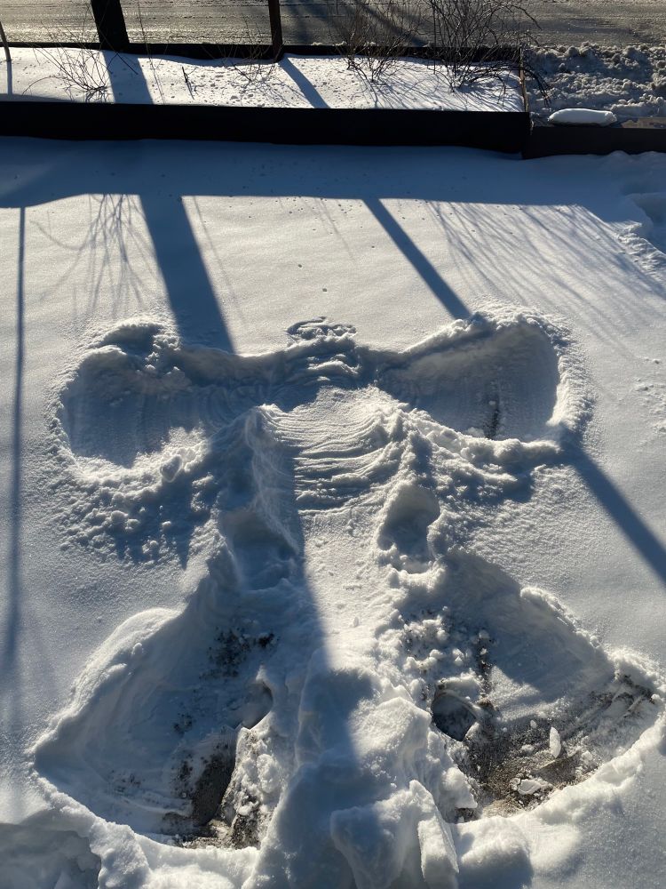 A very well-done snow angel