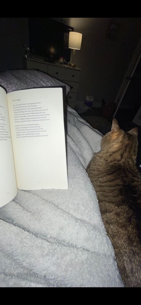 A poem titled “The Cough” from Claudia Emerson’s book, a tabby cat lays beside the poster. 