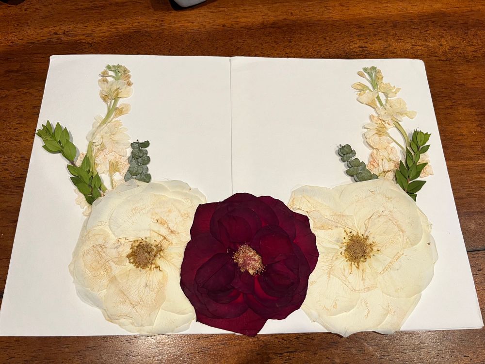 Dried flowers and greenery sit mocked up on sheets of blotting paper. 