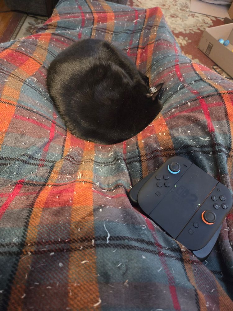 Little black cat sleeping on thread-bare blanket that's also on my lap.
