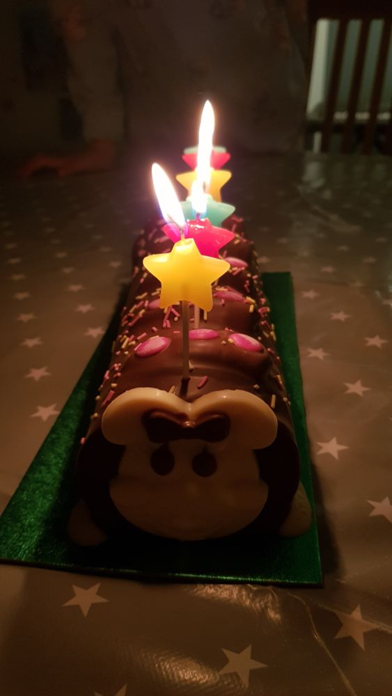 A photograph of Giggles the Caterpillar cake, with star candles lit down her segments. It sounds a lot more disgusting than it is.