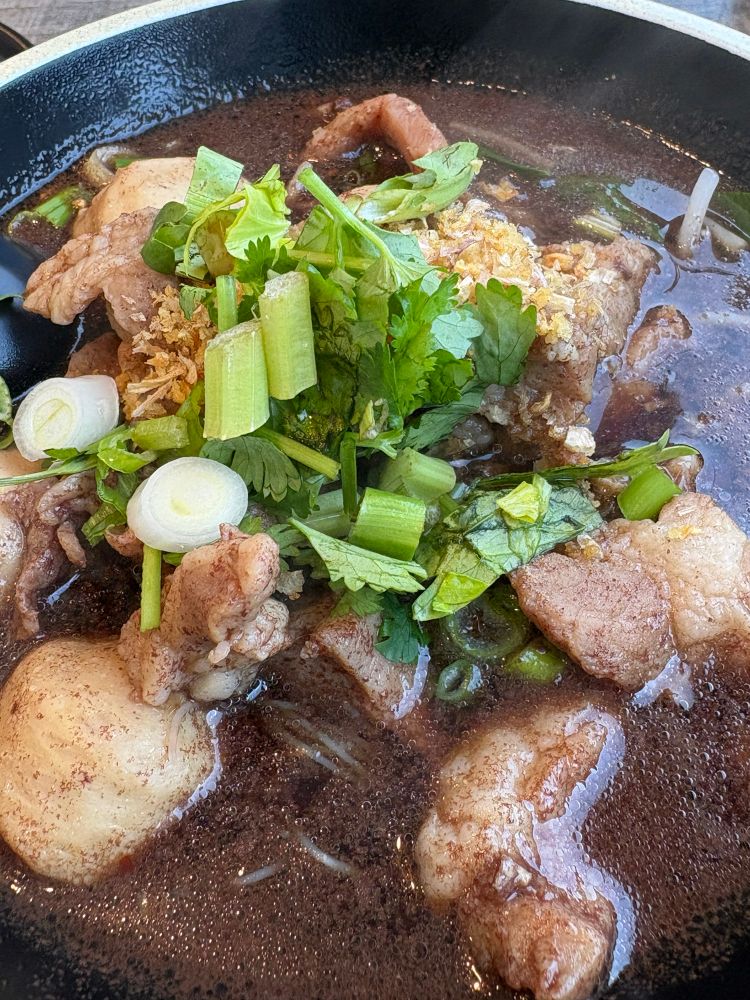 Dark broth with meat and glass noodles, topped with green onions and cilantro