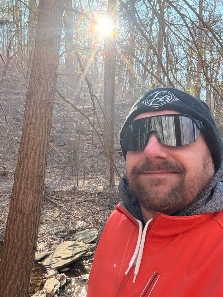 Bear in the woods 