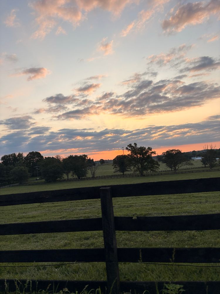 Sunrise over farmland 