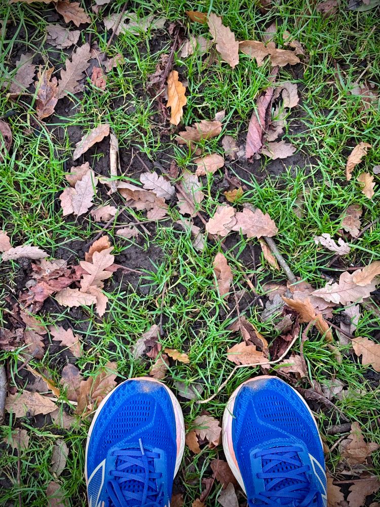 A pair of blue trainers against green grass, brown autumn leaves and a bit of mud. These trainers got me through an Achilles injury over summer. That one was not fun, but the trainers helped a lot.