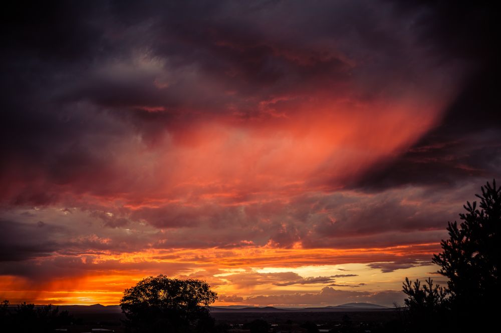 An image of a colorful monsoon sunset. The foreground is dark with a tree silhouetted against the horizon. The sky is partly cloudy. Near the horizon the clouds are golden. Above that is a band of dark gray clouds with even darker clouds across the top of the frame. Across the middle of the darkest clouds is a patch of virga that is glowing pink from the sun that has already set below the horizon. 