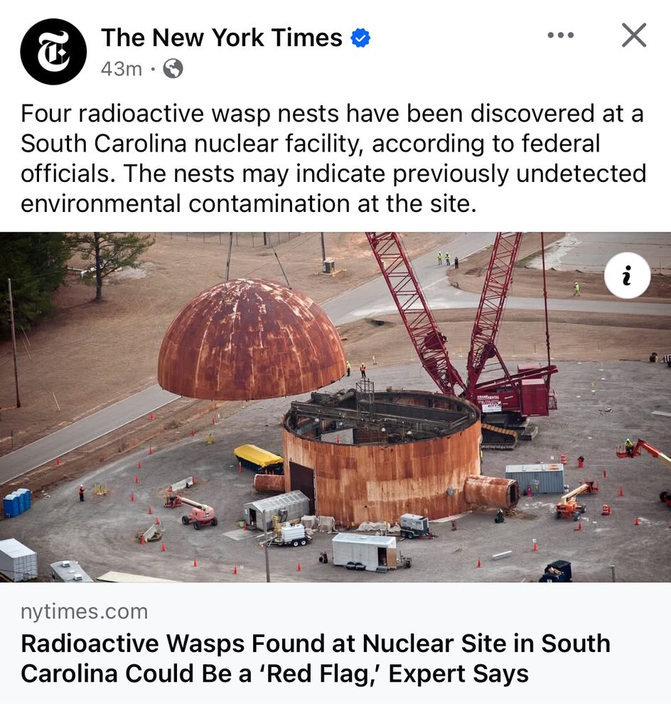Radioactive wasps in South Carolina 