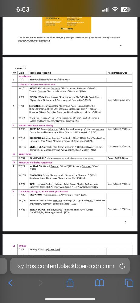 First page of syllabus for grad class, "Novel Theory"