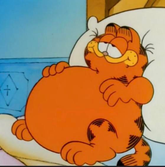 Fat Garfield