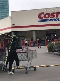 Alguien se puso traje de dinosaurio y ahora se siente Godzilla. 🎵

Todo mientras lleva un carrito del súper al Costco que está en Xalapa. 