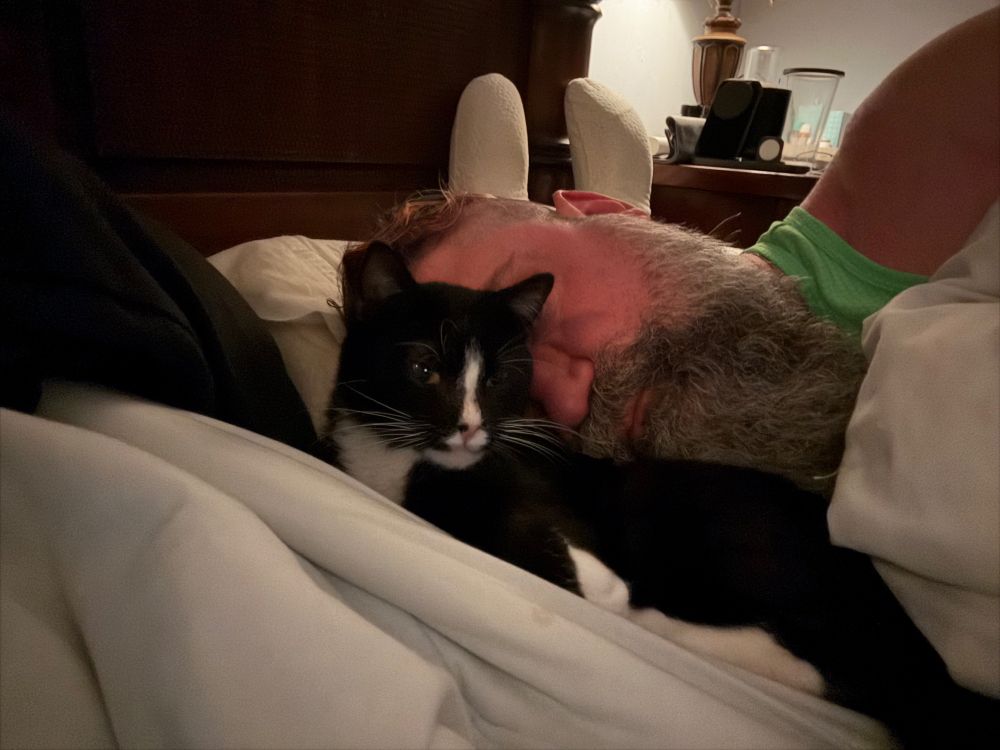 A tuxedo cat [Patrick] lying next to the face of a bearded man in a green shirt, both are in a bed with black and white bedsheets that match the cat's tuxedo coat