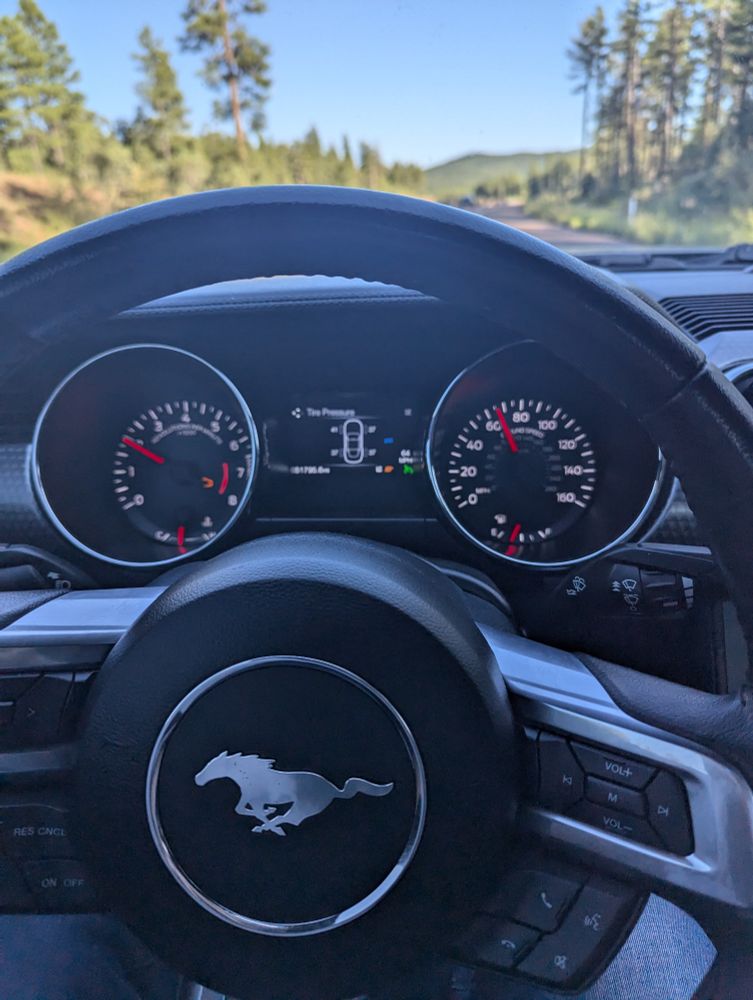 Steering wheel and gauge cluster for 2015 Mustang.