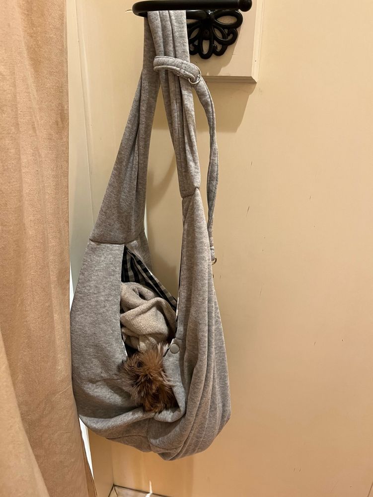 A small brown faced shihtzu puppy peeks out of a grey sling bag hanging on a hook in a dressing room. The walls are an off white color.