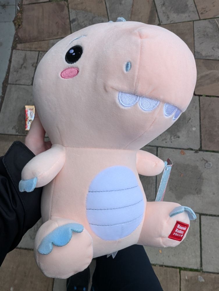 A pink dinosaur plushie 