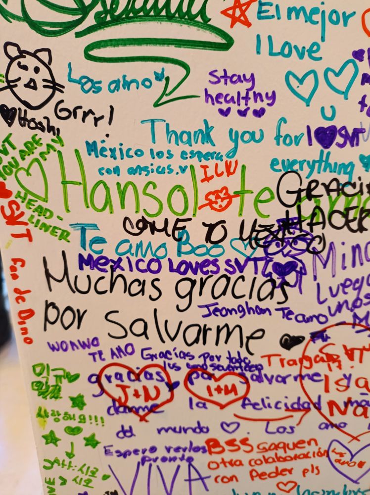 "Ha sol te amo" "Los amo" "muchas gracias por salvarme" "gracias por salvarme y darme la felicidad más grande del mundo" "BSS saquen otra colaboración con Perder pls" "México los espera con ansias" 