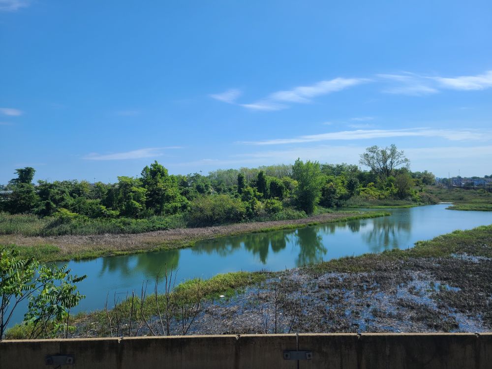 At a marsh near JFK Airport in New York City, blue sky with wispy white clouds is reflected in still water. 