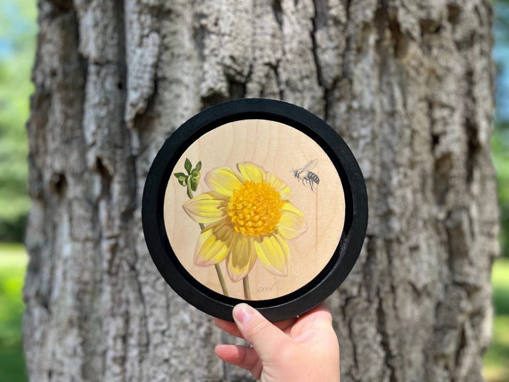 This image is a hand handling a small six inch rounder birch wood floater panel with a black edge. Painted in the center is a Platinum Blonde Dahlia in cheery warm and cool yellow oil paint. There is a bee approaching from the right that is drawn in graphite. Just behind the petals on the left is a small dahlia bud.