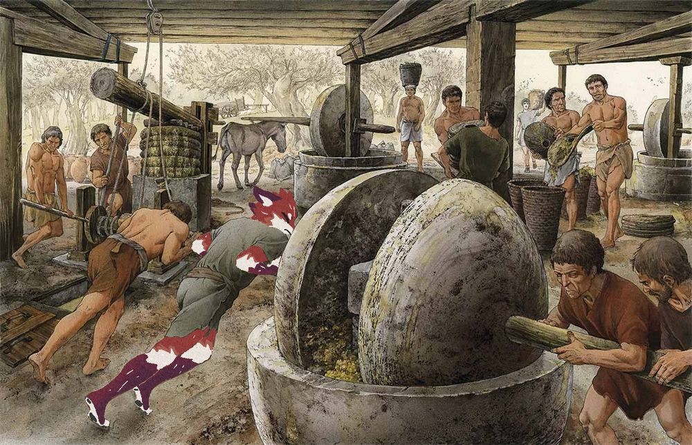 regn gets sent back to 140 AD and is forced to work in a roman hispania oleum camp