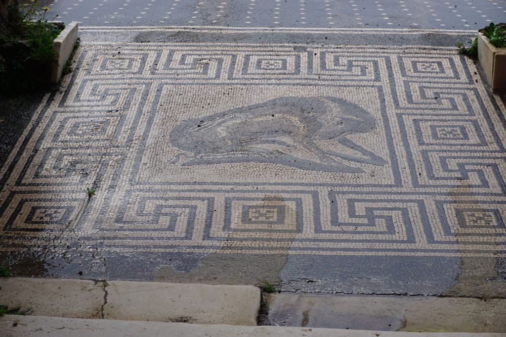 Photo of mosaic floor. At center, a seated wild boar, surrounded by a geometric pattern.