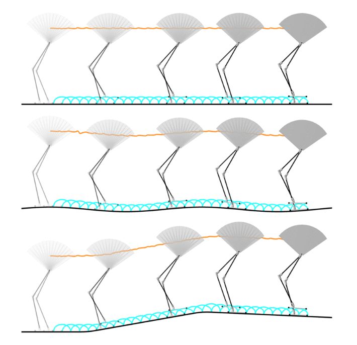 Biped walking from left to right across (top) flat, (middle) sinusoidal, and (bottom) piecewise linear terrain using the same policy.
