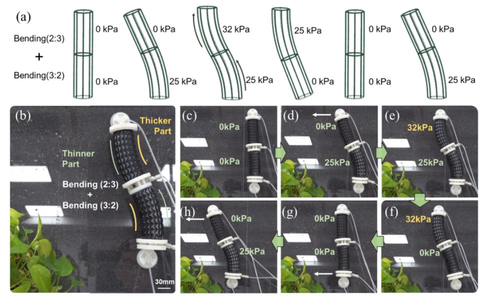Lateral-climbing soft robot is designed consisting of a two-inputs soft actuator and two silicone suction feet. (a) Theoretically predicted antisymmetric deformation of soft actuators consists of two bending segments with \$n\$ = 3:2 and 2:3. (b)–(h) Soft robot moves laterally on the vertical surface due to the periodical input pressures.