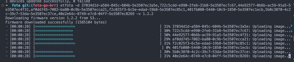Output of a CLI updating the firmware of eight IoT devices concurrently