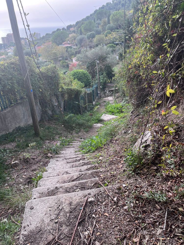 En brant backe med inte så tilltalande trappor