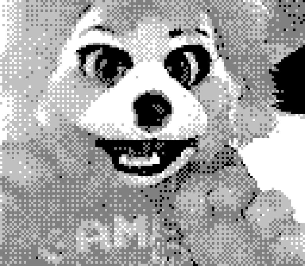Tokens looks into the Game Boy Camera, paws raised lightly.