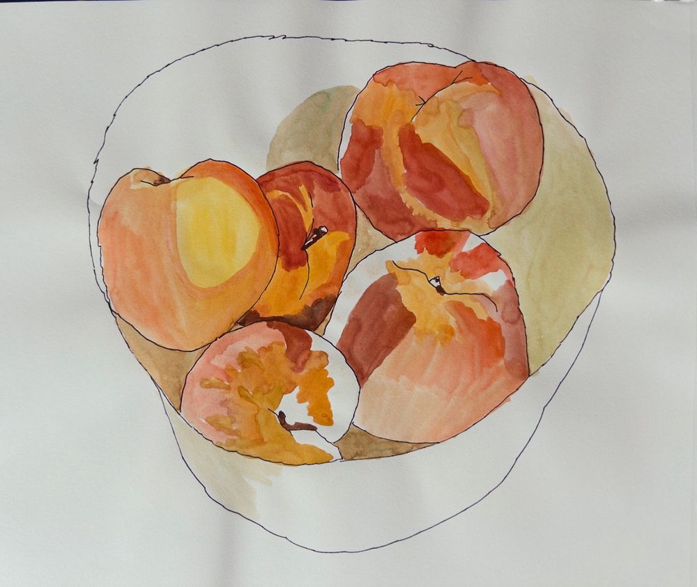 Watercolor and ink drawing or painting of peaches in a bowl - this drawing is OLD! Can’t you tell? No? It’s old 