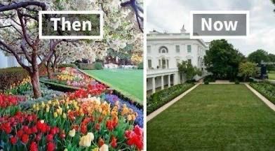 Jackie Kennedy’s lush rose garden, Melanie Knauss’ sterilized version.