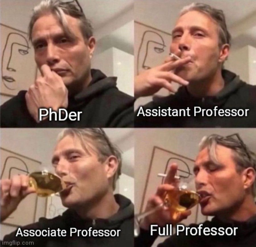 doctoral students thinks, assistant professor smokes, associate professor drinks, full professor both smokes and drinks