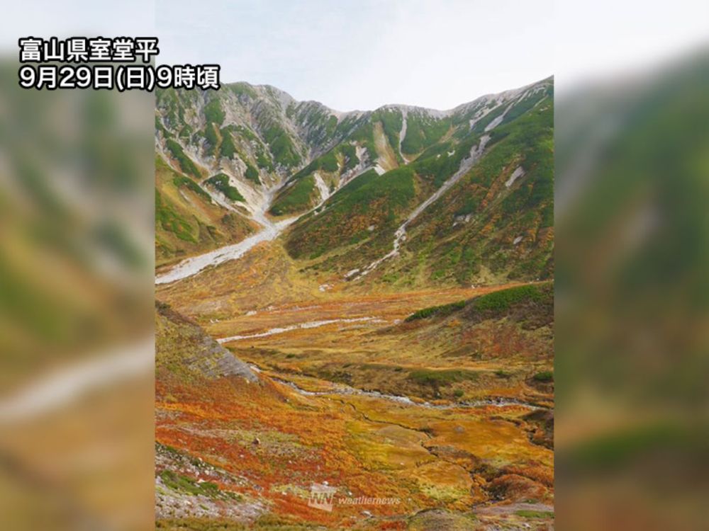 富山県室堂平で紅葉が見頃に　弥陀ヶ原も色づき始める