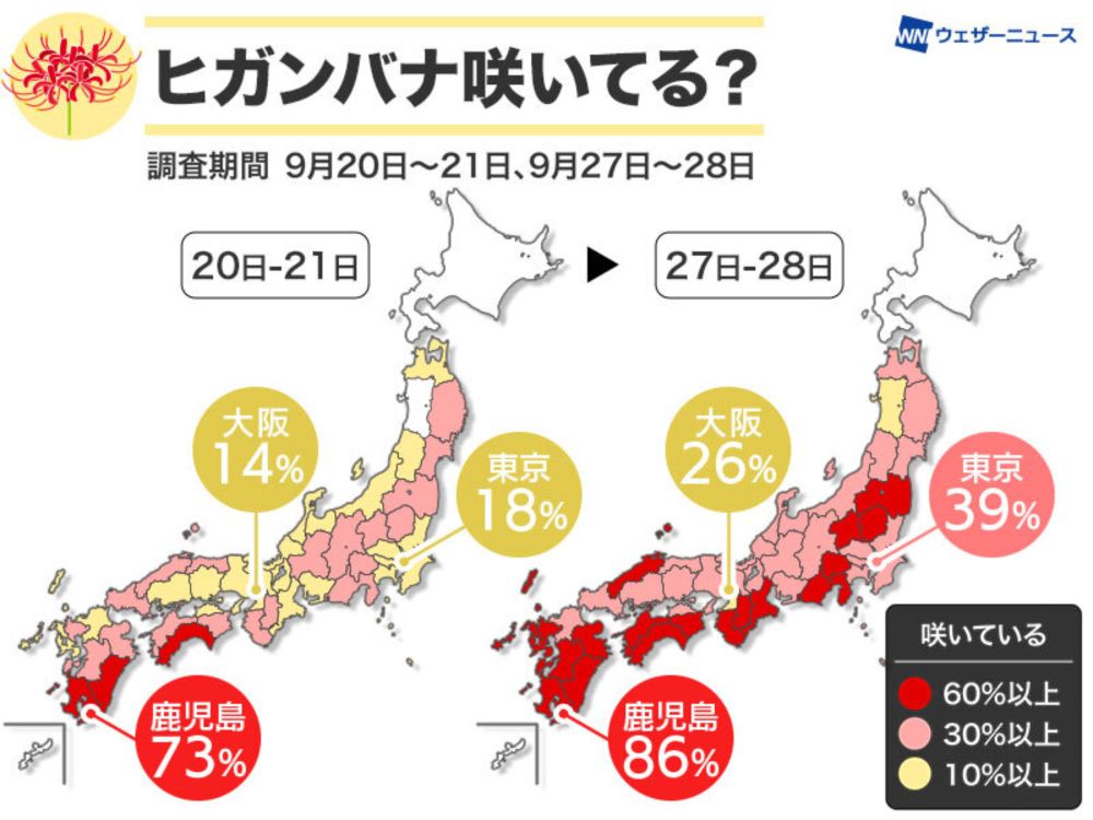 彼岸花の季節　九州や西日本太平洋側で多く、東京でも約4割が咲き始め