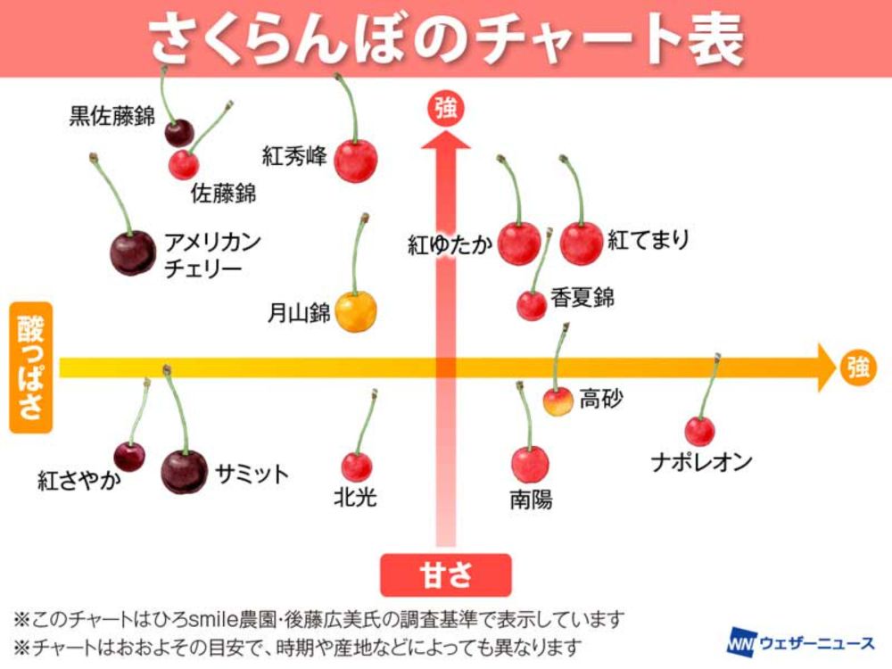 甘味と酸味のバランスが一目で分かる、“さくらんぼチャート”