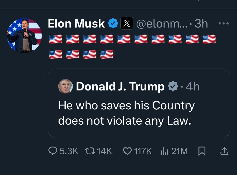 Image of President Musk's Tweet in support of Donald Trump quoting Napoleon and deliberately posting 14 American flag emojis. 