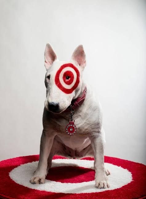 A white bull terrier painted to have a red target on its eye, representing Target's dog mascot, Bullseye. 