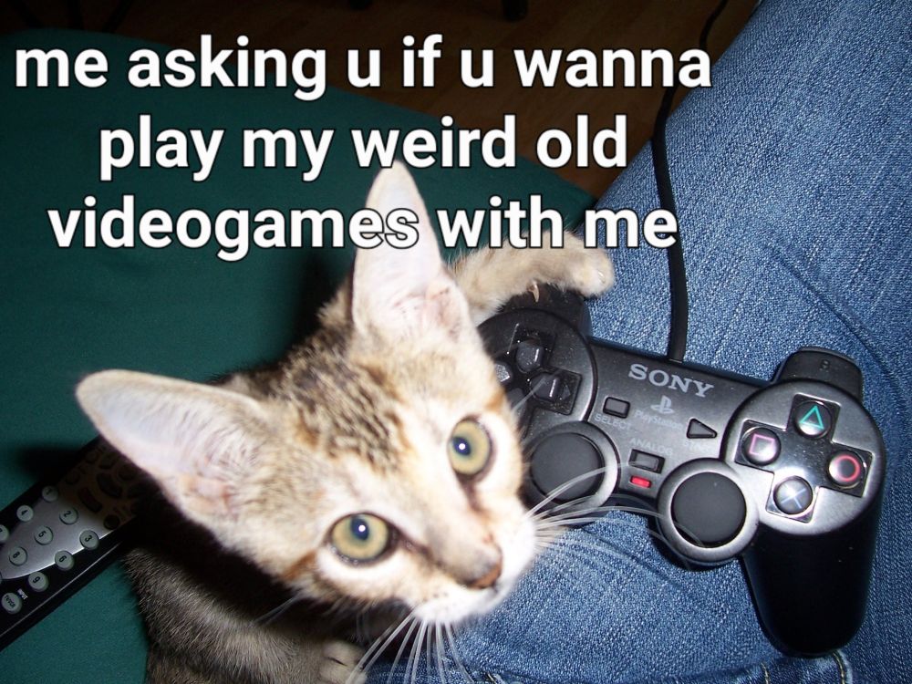 picture of a small tabby cat clinging to someones lap that has a ps2 controller. captions says me asking u if u wanna play my weird old games with me